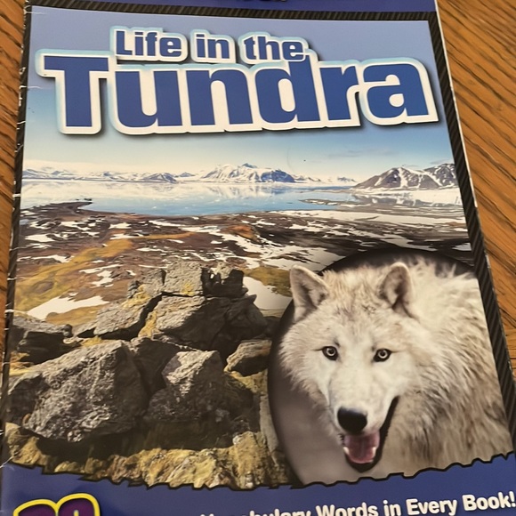 16 Children Books - Picture 15 of 16